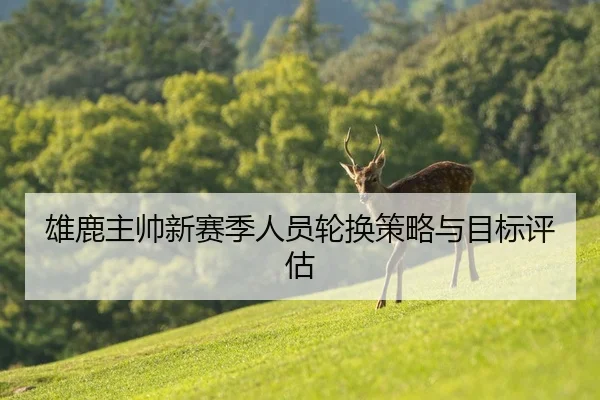 雄鹿主帅新赛季人员轮换策略与目标评估